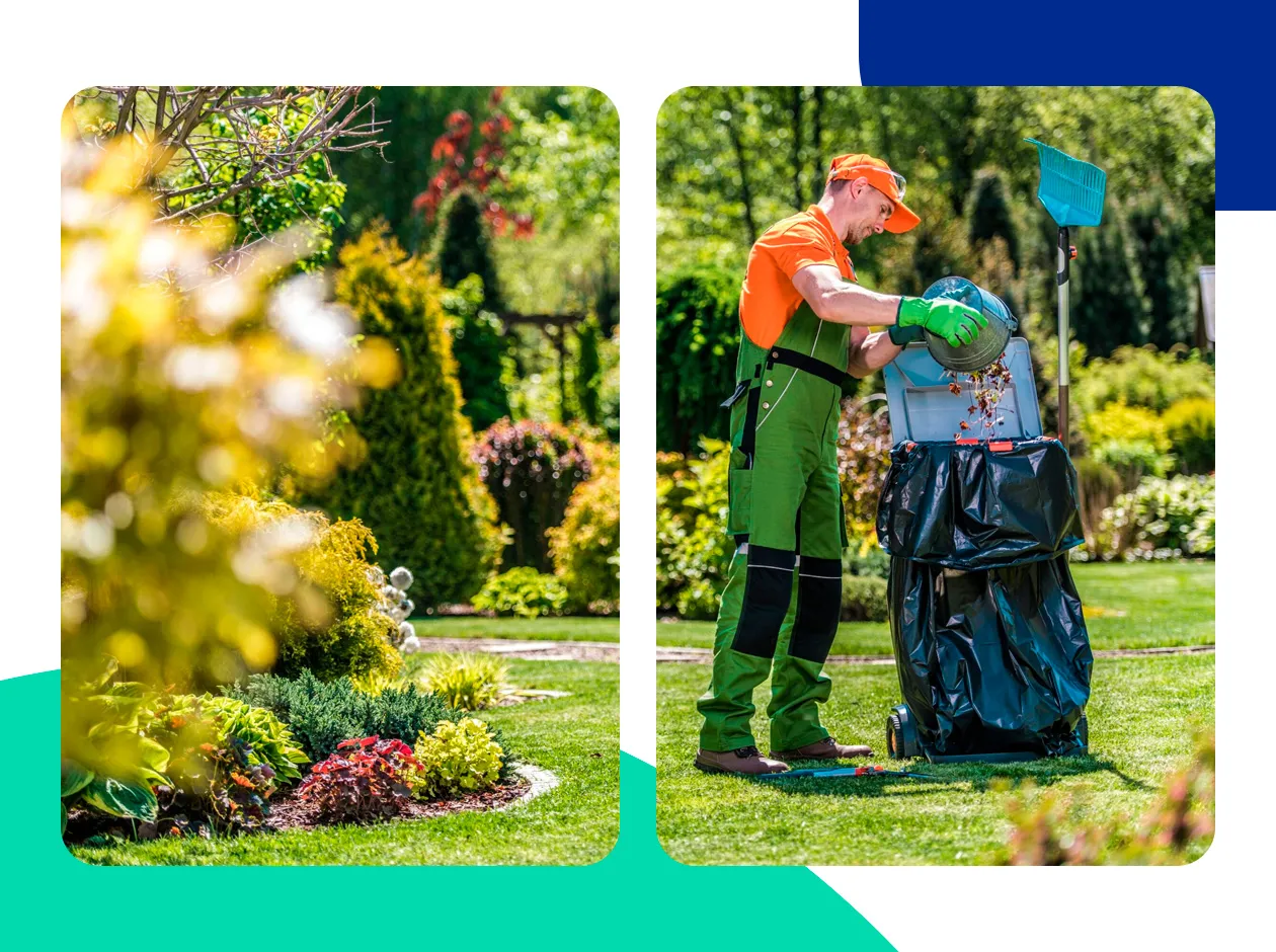 Enhance Your Garden's Beauty with garden cleaning Dubai