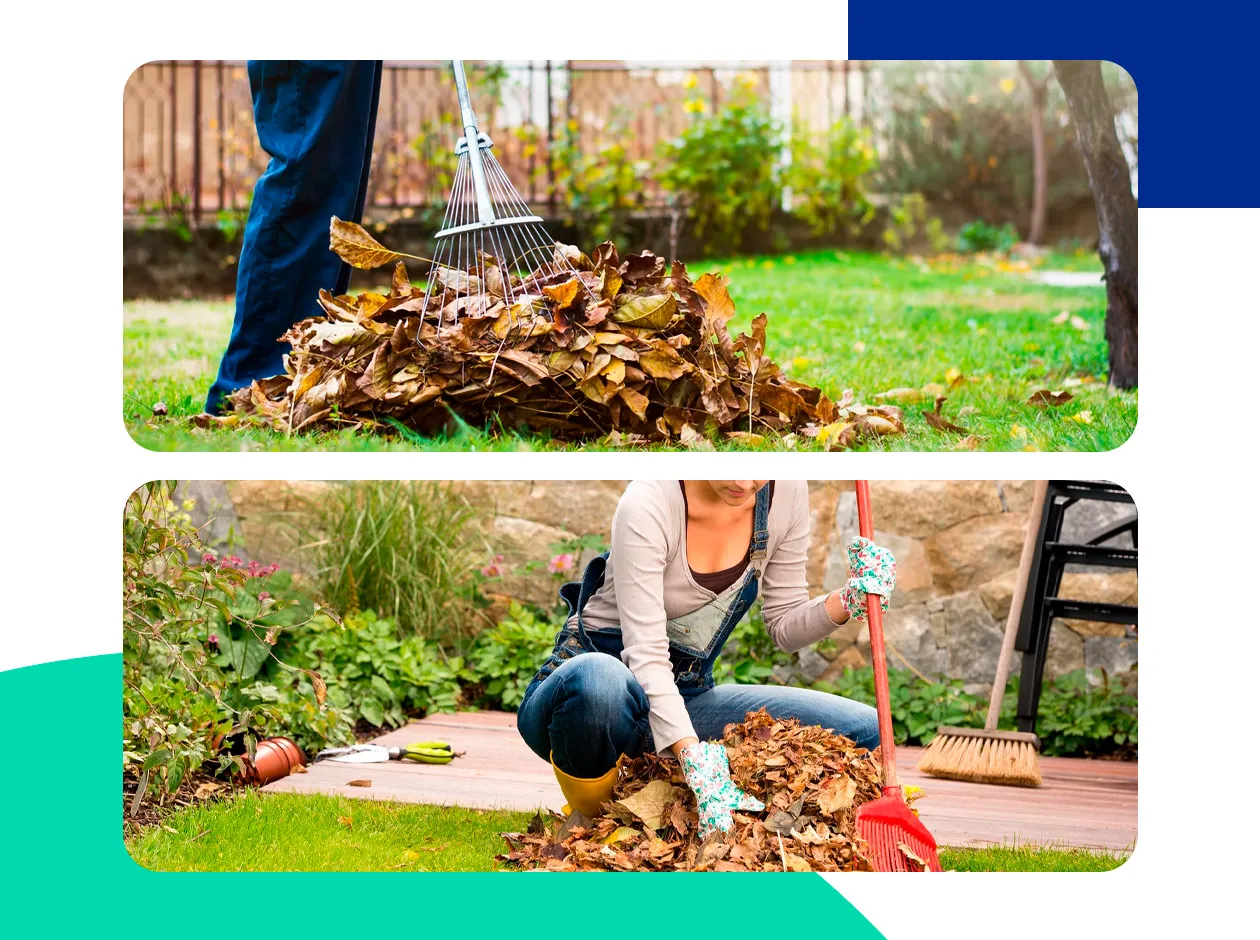 Professional Garden Clean-Up Services for All Seasons